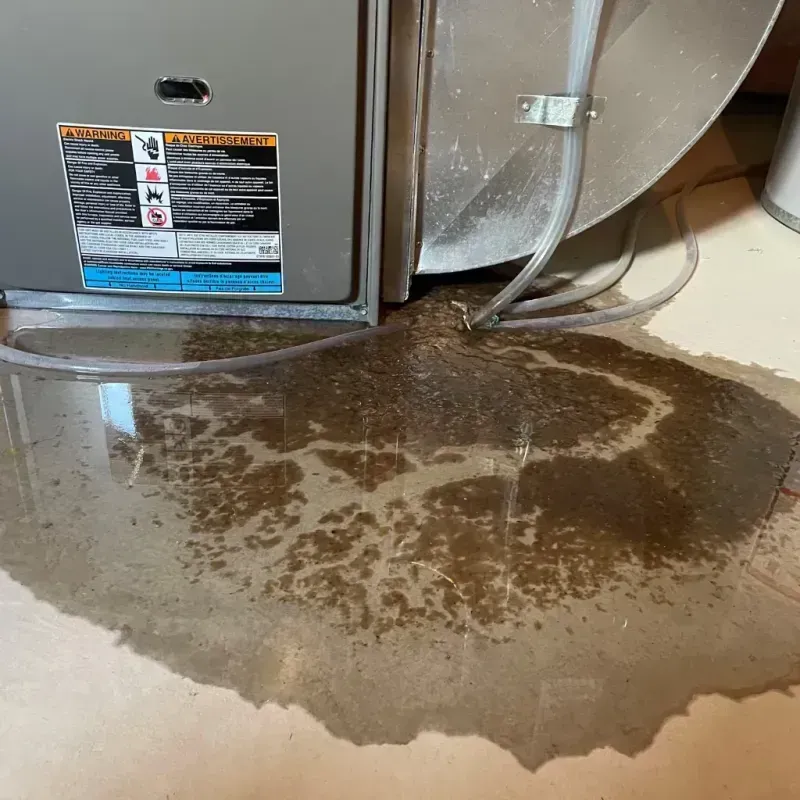 Appliance Leak Cleanup in Highland, KS